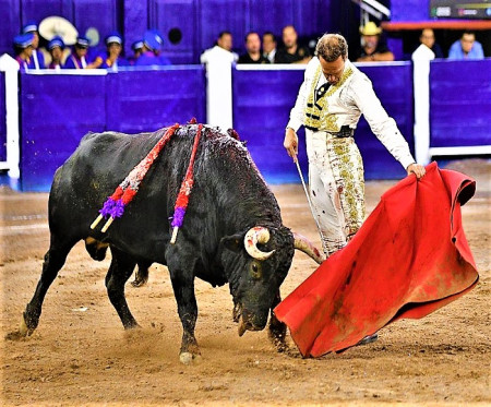 Ferrera Roza el Triunfo en Aguascalientes